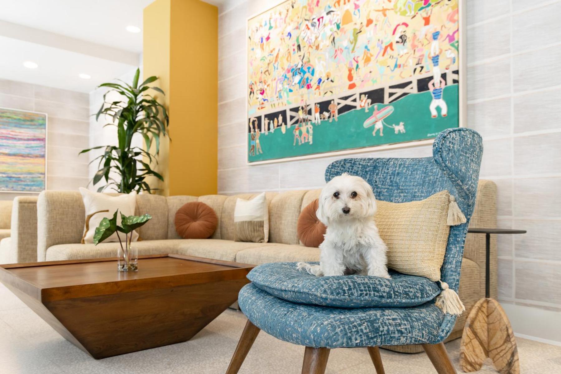 Hotel Continental Miami Beach, Tapestry Collection By Hilton Ngoại thất bức ảnh